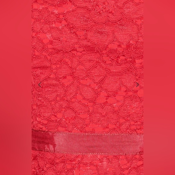 Saylor Verena Red Lace Mini Dress - Picture 4 of 9